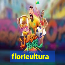 floricultura juazeiro bahia